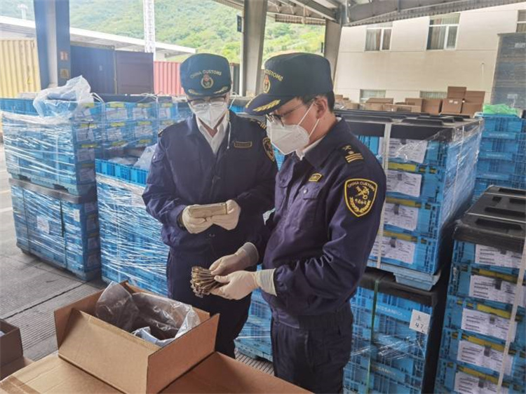 Sabitliyi təmin etmək və keyfiyyəti yaxşılaşdırmaq üçün xarici ticarəti təşviq edin Ningbo Gömrük 20 