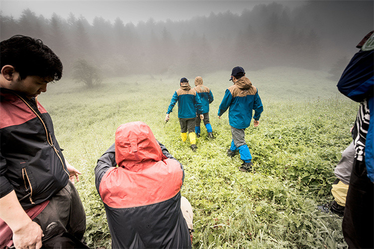 SURVIVA Wilderness Survival nədir?